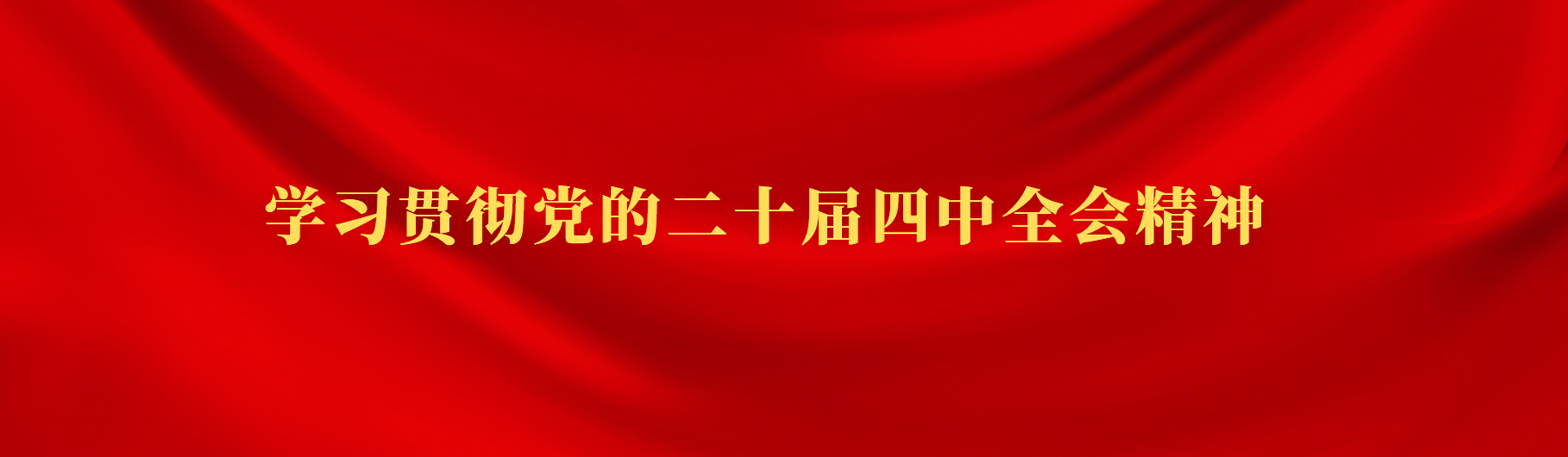 学习贯彻党的二十届四中全会精神